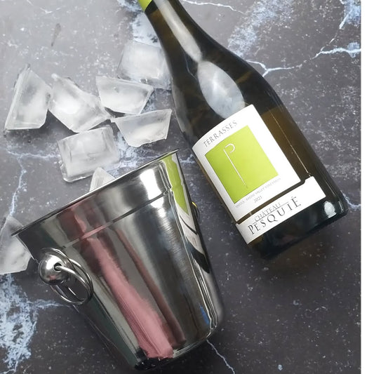 Stainless Steel ice bucket